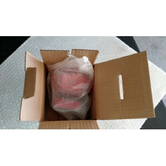 Lanterna Freio Traseira Moto Cb 300 R Xre 300 Original Honda Vermelha