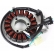 Estator Magneto Fazer 250 2011 2012 2013 2014 2015 2016 2017 Modelo Original