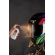 Kit Para Manutenção Limpeza Viseira Capacete E Anti Odor Peels Guardian 3x1