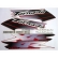 Kit Adesivos Xr 250 Tornado 2001 2002 Vermelha Jogo Adesivo