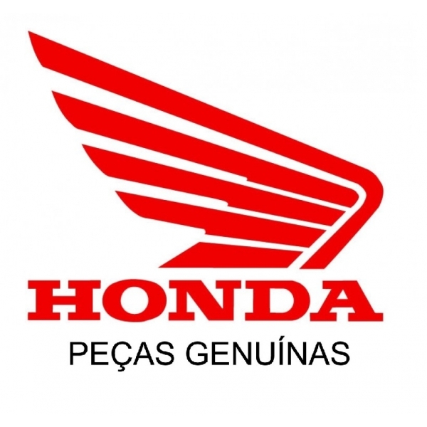 Paralama Traseiro Moto Nxr Bros 150 2009 10 11 2012 Bros 125 2013 2014 Suporte Placa Original Honda - Original Honda